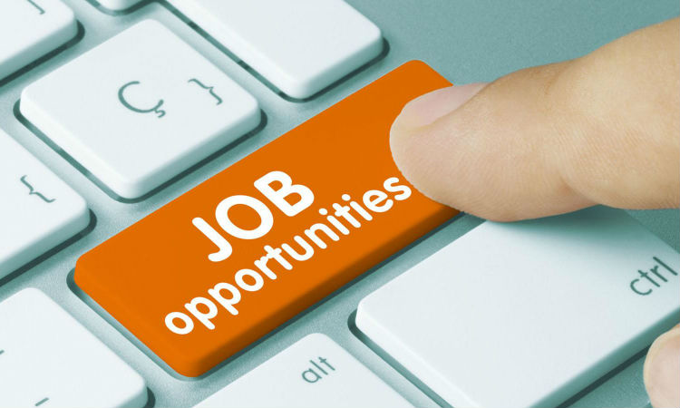 job opportunities